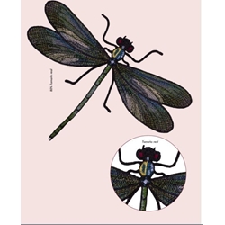 Aplicación libélula tornasolada adhesiva para prendas, plancha, tamaño real - Imagen 1