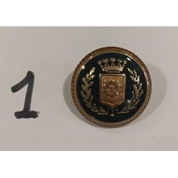Botón con escudo y ribete dorado - Imagen 1