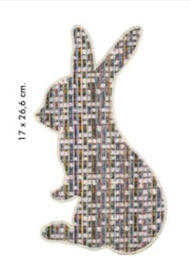 Conejo - Imagen 1