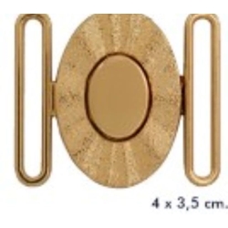 Hebilla dorada - Imagen 1