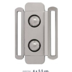 Hebilla plata - Imagen 1