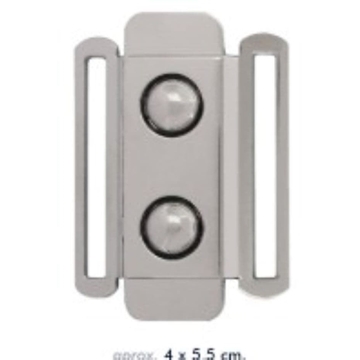 Hebilla plata - Imagen 1