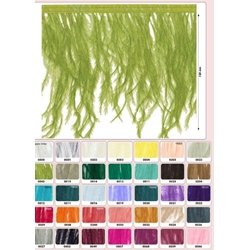 Pluma de Avestruz - Imagen 1