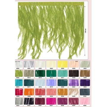 Pluma de Avestruz - Imagen 1